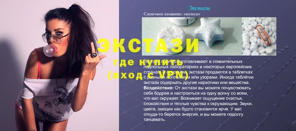 тгк Инсар