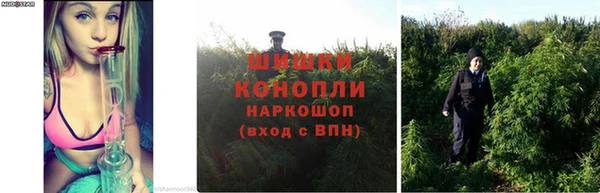 МДПВ Иннополис