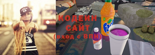 тгк Инсар