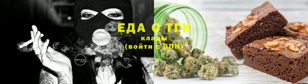 тгк Инсар