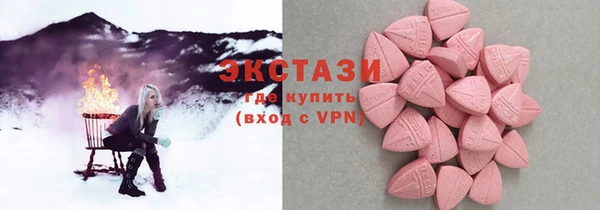 тгк Инсар