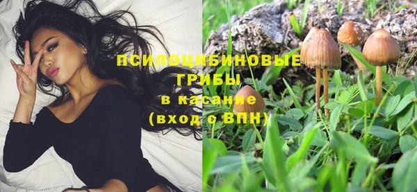 МДПВ Иннополис