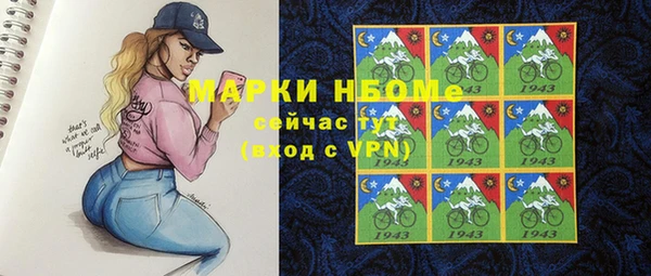 тгк Инсар