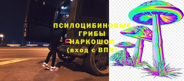 дмт Сосновоборск