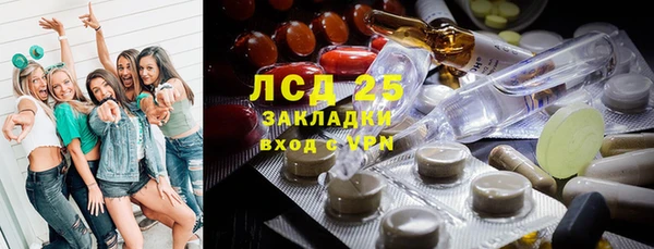 тгк Инсар
